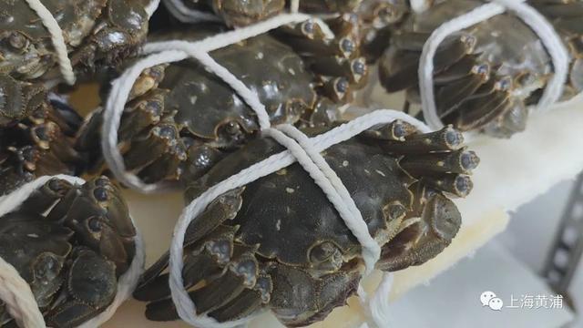 产自新疆的螃蟹你吃过吗？天山雪蟹“爬”上市民餐桌