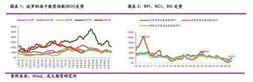 光期黑色：探究BDI大跌背后的原因