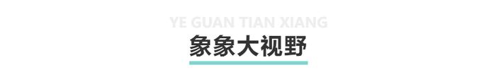 中期选举在即新书再曝特朗普黑料： 白宫是一个疯子在发号施令的疯人院？