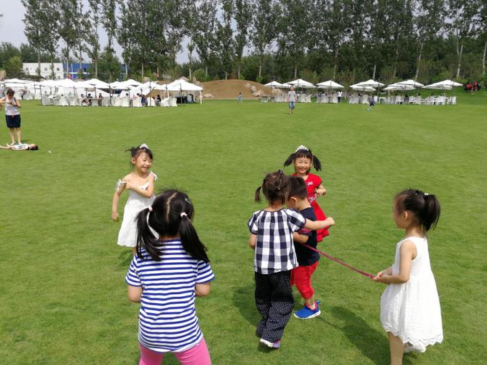 我国草坪草种子9成靠进口！草种国产化，难在哪儿？