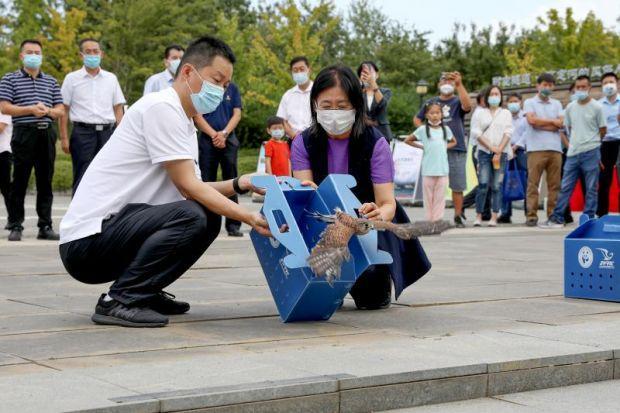 今迎第十个“北京湿地日” 全市湿地面积已达6.21万公顷