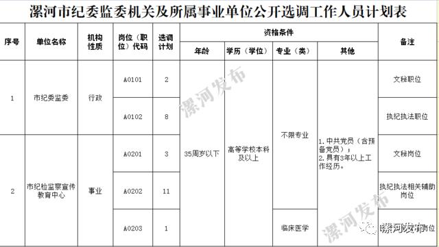 漯河市纪委监委机关及所属事业单位公开选调工作人员