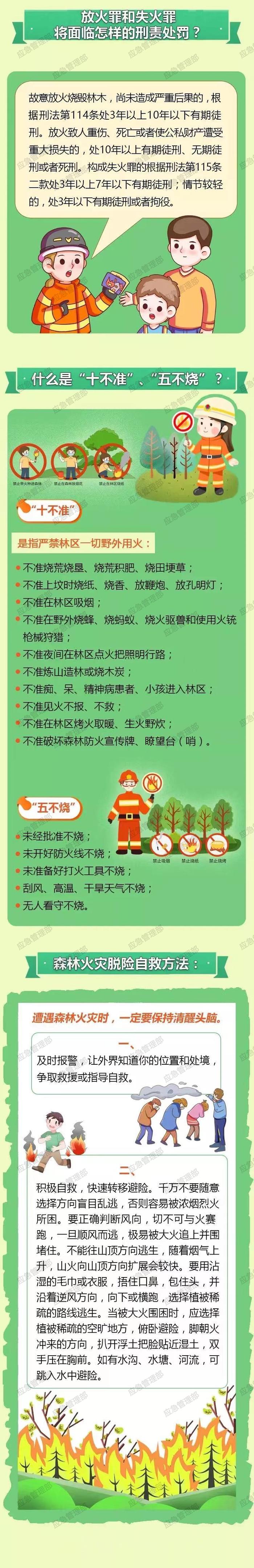 应急科普 | 野外用火要当心，森林火灾的罪与罚你知道吗？