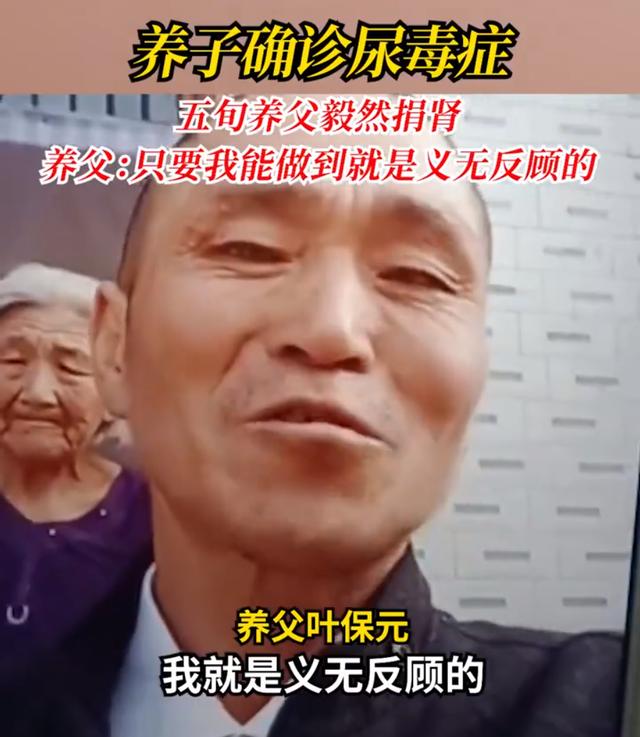 养子确诊尿毒症，五旬养父毅然捐肾，终身未婚，养父：能做到就义无反顾