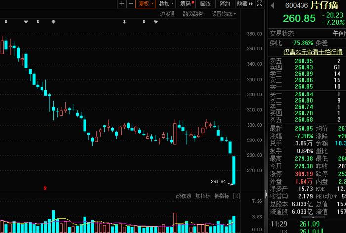 1600亿中药白马股大跌，480多只基金受伤！一批基金重仓股月内跌超10%，“医药一姐”踩中多只，这些回调股估值大降