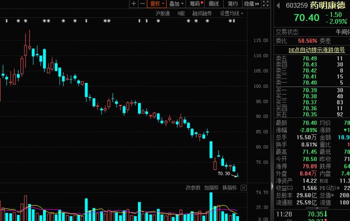 1600亿中药白马股大跌，480多只基金受伤！一批基金重仓股月内跌超10%，“医药一姐”踩中多只，这些回调股估值大降