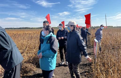 2022年全省农作物专家育种示范基地大豆品种展示评价现场观摩会在北安市召开