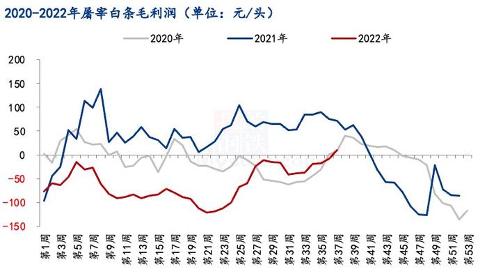 还撑得住吗？长期亏损、产能过剩 屠宰行业“厮杀加剧”|生猪屠宰整合前夜