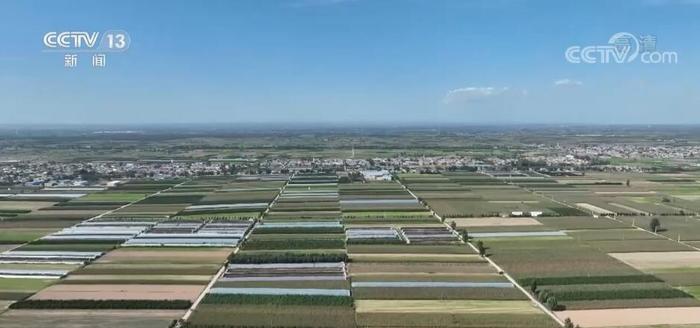 在希望的田野上 | 陕西渭南调整生产结构 确保玉米丰产丰收