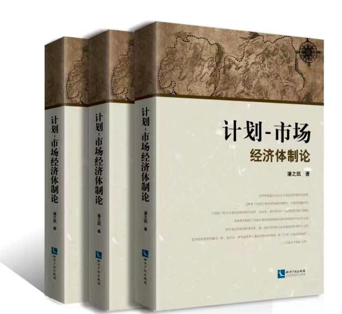 共同富裕理论中的经济体制理论探索—— 第廿一讲：计划-市场经济体制的置换模式（2）“置换”模式的关键及注意内容