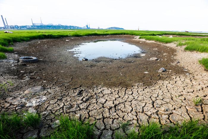 鄱阳湖干旱近80天，水域面积缩小9成，候鸟栖息地受到严重威胁