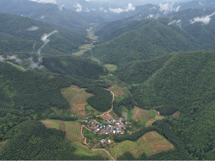 西双版纳的小村庄，为什么能成为乡村可持续发展的新案例