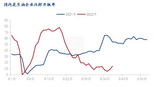 Mysteel节后预测：油厂陆续入市收购新米 节后花生油或继续偏强