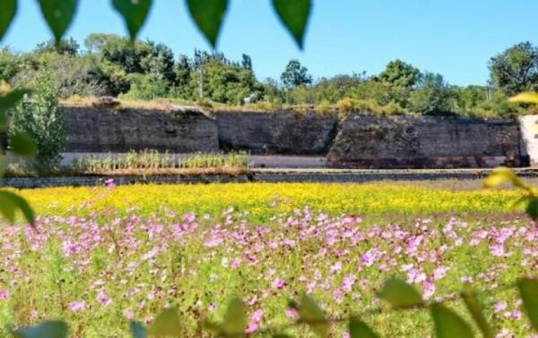 卢龙县桃林口村：跨越600年，与家乡长城“重逢”