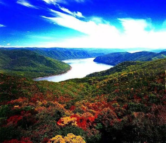 “网红鹤岗”成年轻群体旅游热门地