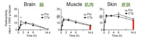 五个女博士：为什么越来越多的人都在喝胶原蛋白肽？