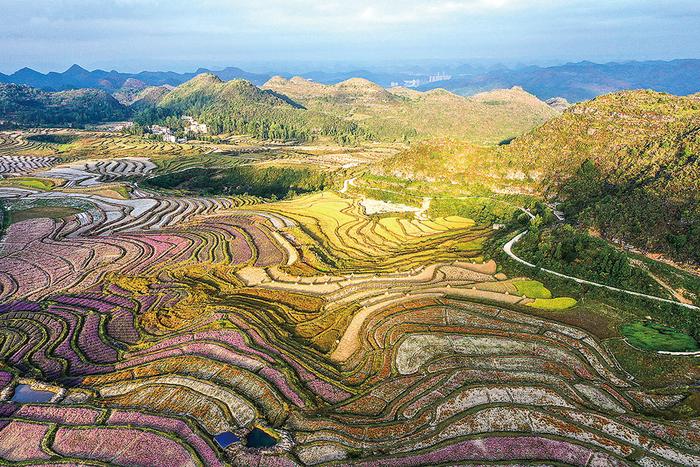 贵州省贵阳市花溪区黔陶乡谷洒农业综合种植基地