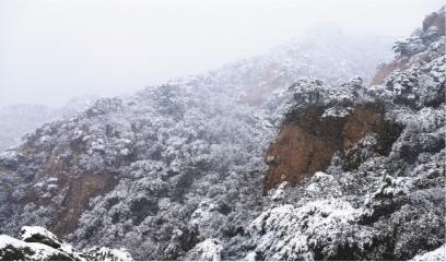 辽宁省气象台专家解读 为何会出现58年以来最早大范围初雪