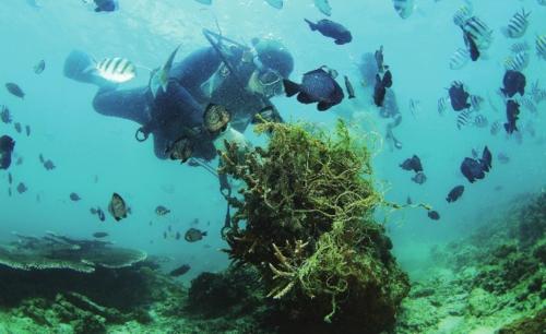 在海南三亚蜈支洲岛海域，工作人员在海底清理缠绕在珊瑚上的渔网和绳子。
