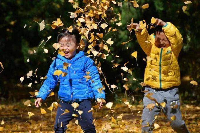 今日霜降，一年好景，最是橙黄橘绿时