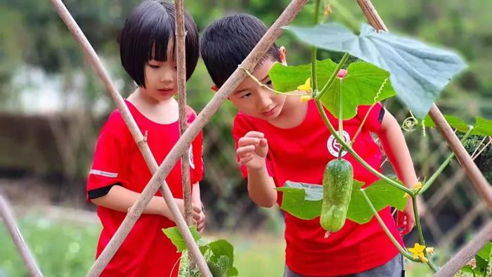 罗浮山泰学小学成为中华优秀传统文化现代化典范