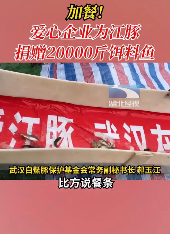 加餐！爱心企业为长江江豚捐赠20000斤饵料鱼