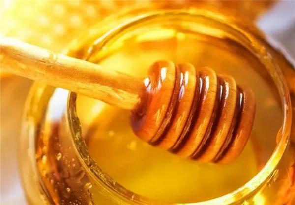 哪里可以买到正宗的蜂蜜？这两款蜂蜜非常纯正，品质公认的好