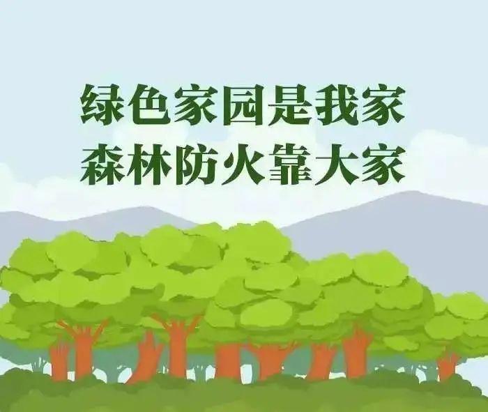 森林防火宣传 | 图解森林防火小知识