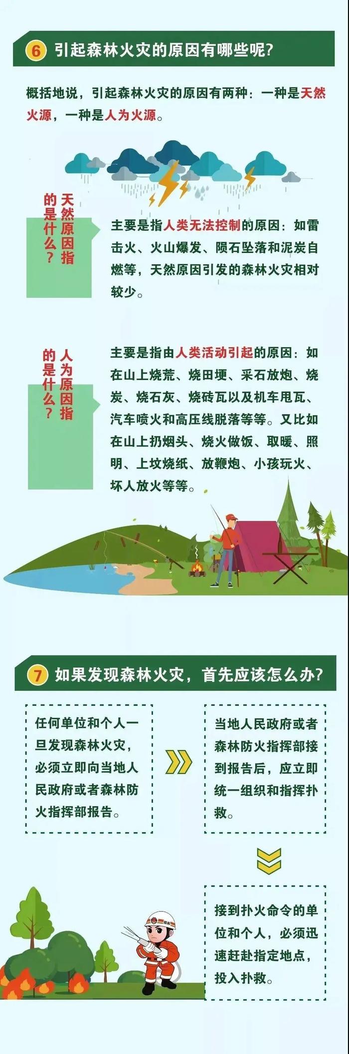 森林防火宣传 | 图解森林防火小知识