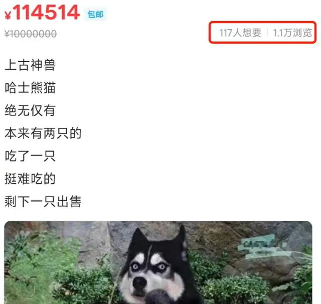 “哈士熊猫”“纯正阿凡达”？二手交易平台频现天价奇葩商品，客服：不要买，免得心里不舒服