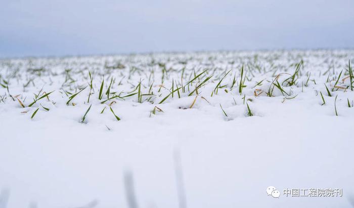 适应水土资源条件的华北地区农业种植布局研究丨中国工程科学