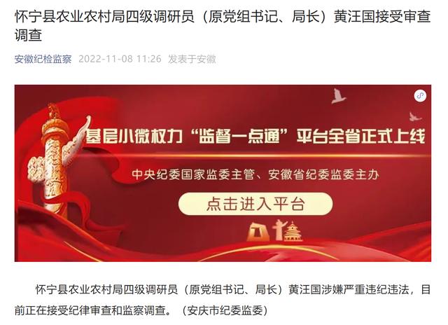 安徽省怀宁县农业农村局四级调研员（原党组书记、局长）黄汪国接受审查调查