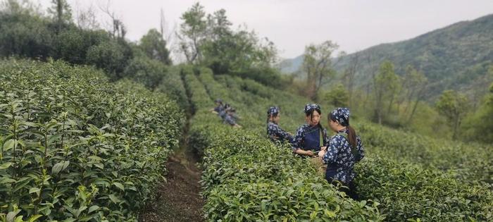 联想智慧办公解决方案，为乡村振兴按下“快捷键”