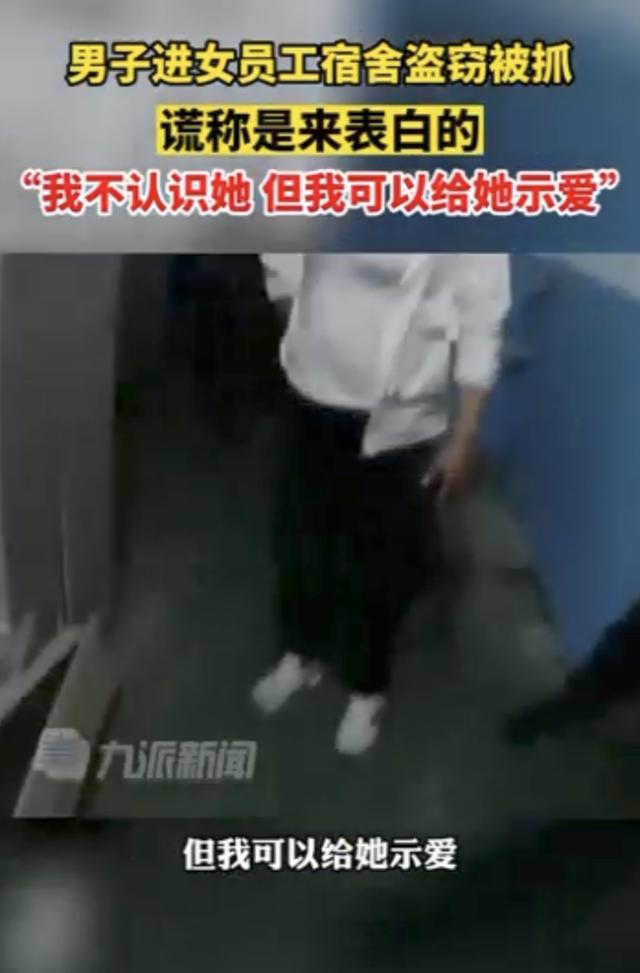 女子在宿舍堵住窃贼反被表白：拿手机是想处对象，“追姑娘也犯法吗？”