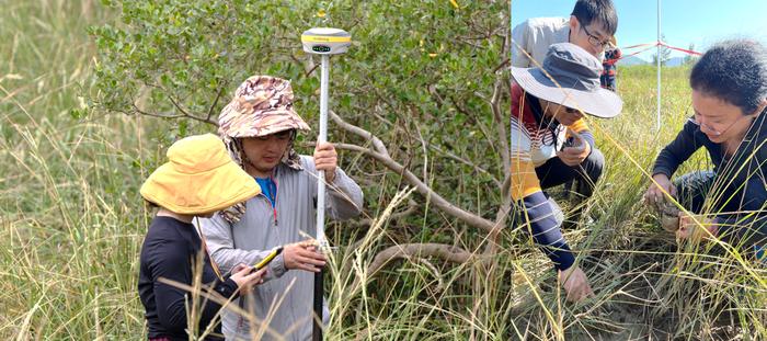 保乐力加中国出席《湿地公约》COP14分享红树林保护成效