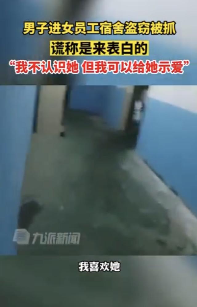 女子在宿舍堵住窃贼反被表白：拿手机是想处对象，“追姑娘也犯法吗？”