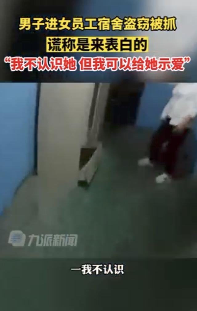 女子在宿舍堵住窃贼反被表白：拿手机是想处对象，“追姑娘也犯法吗？”