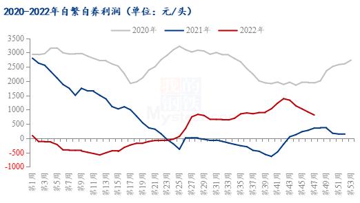 Mysteel解读：等雨等风等降温 养猪人折在一个“等”字