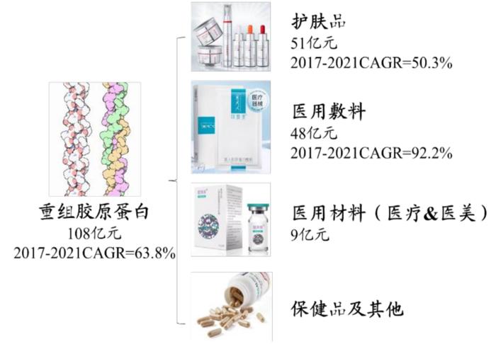 重组胶原蛋白：产业大龙头正式亮相 64%复合增速之后再来五年超40%年均增长丨黄金眼