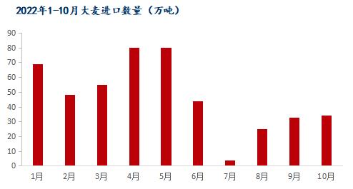 Mysteel解读：10月我国粮食进口现状及玉米替代进口分析