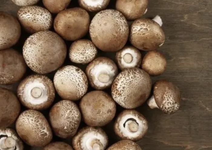 市场售卖的蘑菇真的含甲醛吗？能不能放心吃？