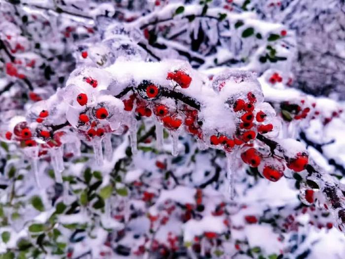 鸡公山景区下雪了，一键打开美颜模式