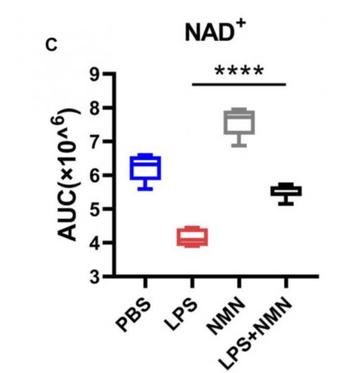 佰椿塬-健康密码：与抗炎药类似，用NMN治疗的免疫细胞可抑制慢性炎症