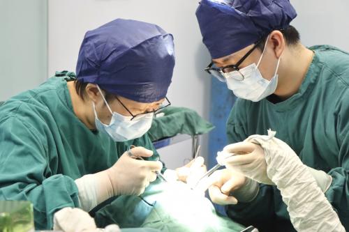 美维旗下上海维乐口腔医院完成首例BLX全口种植，携手士卓曼开启即刻种植新纪元