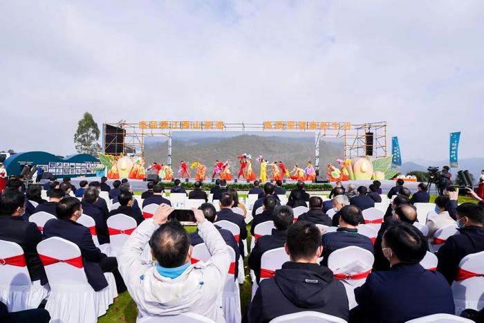 高品质江西山茶油，高质量健康新生活——首届江西油茶文化节盛大开幕