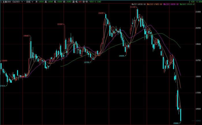 生猪期货主力合约午后快速下挫，跌幅达4%，下破16000元/吨
