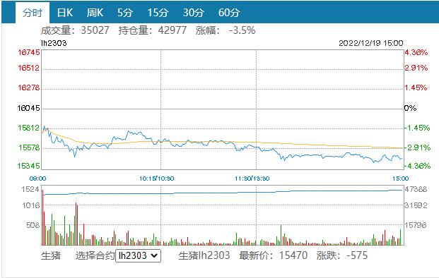 2022年12月19日生猪期货行情走势