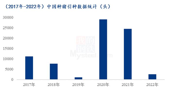 Mysteel解读：近几年引进种猪量的变化分析