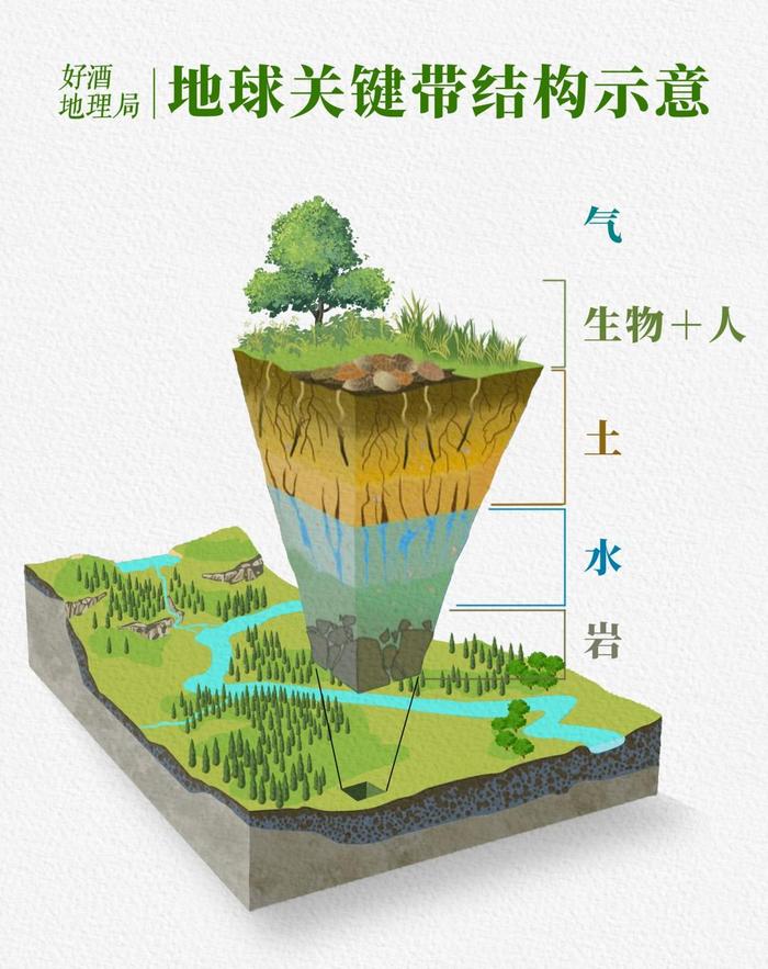 是什么造就了珍酒的不可复制性？