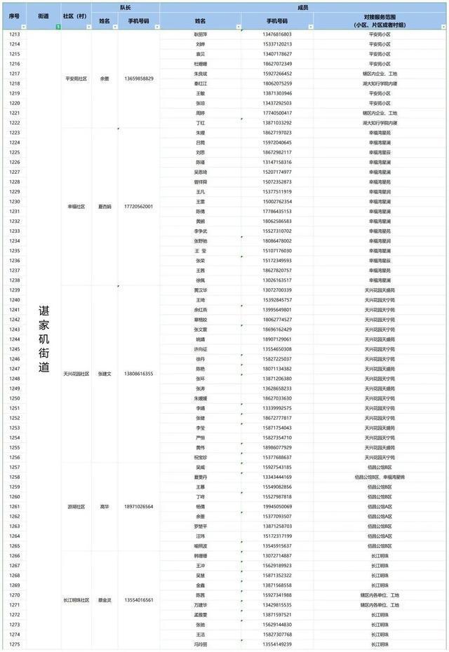 最新！江岸区公布141个社区（村）重点人员服务团队信息